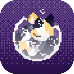 星空传媒王游戏下载-星空传媒王下载 v1.0 安卓版